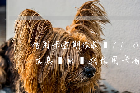 信用卡逾期催收發(fā)彩信 發(fā)信息說起訴我信用卡逾期是真的還是催收