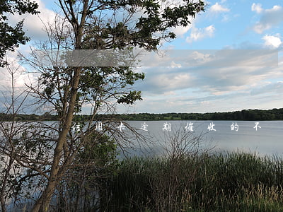 信用卡逾期催收的不讓分期