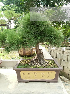 信用卡逾期催收的會發(fā)短信嗎