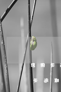 信用卡逾期催收的電話騷擾怎么處理-信用卡逾期催收的電話騷擾怎么處理呢