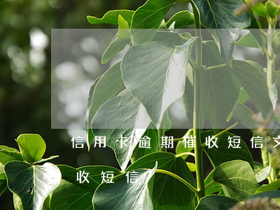 信用卡逾期催收短信文本(信用卡惡意拖欠催收短信)