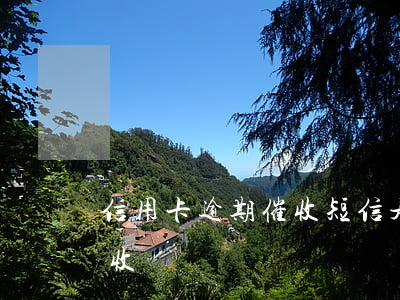 信用卡逾期催收短信是怎么樣的(欠信用卡催收)