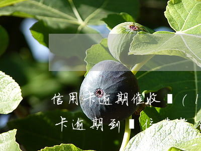 信用卡逾期催收聯(lián)系單位(信用卡逾期到單位催收合法嗎)