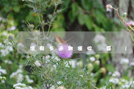 信用卡逾期催收說要發(fā)律師函