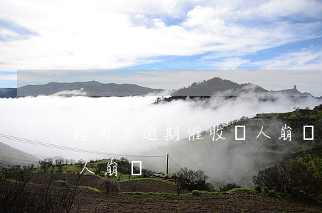 信用卡逾期催收讓人崩潰(信用卡逾期催收讓人崩潰)