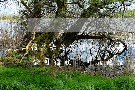 信用卡逾期催收讓人崩潰(信用卡逾期被催收公司催收還可以慢慢還嗎)