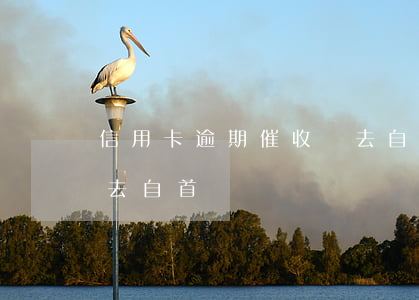 信用卡逾期催收讓去自首(信用卡逾期催收讓去自首)