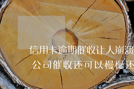 信用卡逾期催收让人崩溃(信用卡逾期被催收公司催收还可以慢慢还吗)