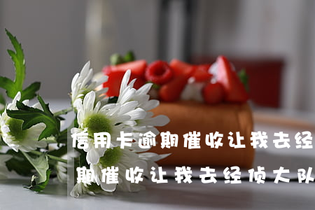 信用卡逾期催收让我去经侦大队-信用卡逾期催收让我去经侦大队报案