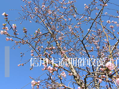 信用卡逾期催收说上门(信用卡催收说要上门)