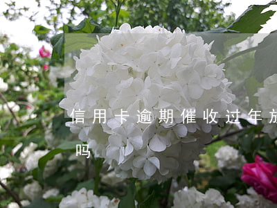 信用卡逾期催收过年放假嘛(过年了催收放假吗)