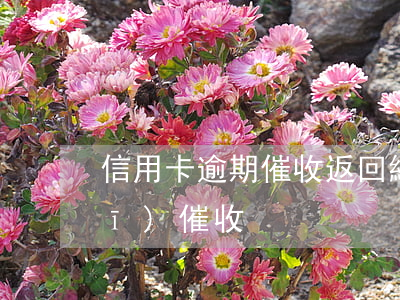 信用卡逾期催收返回總行(信用卡違規(guī)催收)