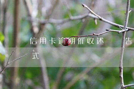 信用卡逾期催收述職報告(信用卡逾期催收方式)