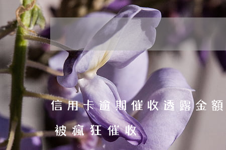 信用卡逾期催收透露金額(信用卡逾期為什么被瘋狂催收)