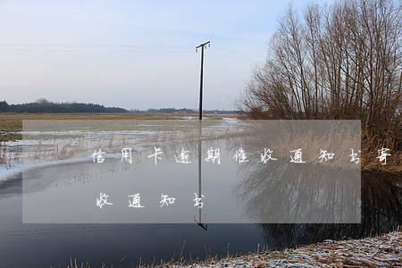 信用卡逾期催收通知书寄错(银行贷款逾期催收通知书)
