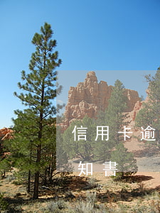 信用卡逾期催收通知書范本(銀行逾期催款通知書)