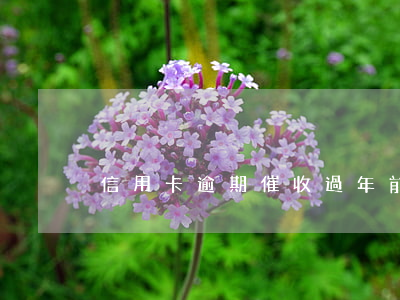 信用卡逾期催收過年前幾號停止
