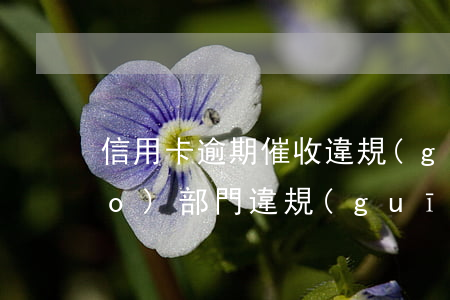 信用卡逾期催收違規(guī)舉報(bào)部門(違規(guī)催收投訴)