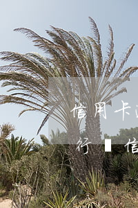信用卡逾期催收邀約分行協(xié)商(銀行將信用卡逾期催收交給律師事務(wù)所)