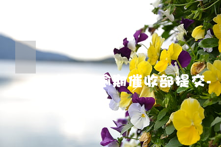 信用卡逾期催收部提交-催信用卡逾期的工作人員