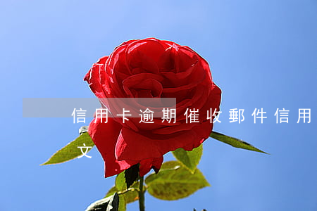 信用卡逾期催收郵件(信用卡逾期催收郵件范文)