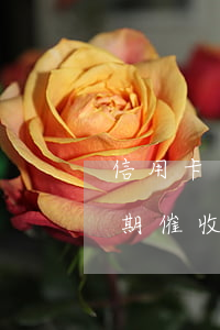 信用卡逾期催收電話打到村委會-信用卡逾期催收電話打到村委會有用嗎