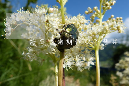 信用卡逾期催款不想接