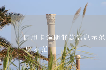 信用卡逾期催款信息示范(信用卡逾期催款信息示范)