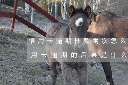 信用卡逾期催款兩次怎么判定(貸款逾期與信用卡逾期的后果是什么)