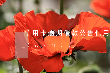 信用卡逾期催款公告(信用卡逾期催款公告書(shū))