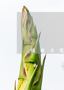 信用卡逾期催款函樣本(信用卡逾期催款函樣本)