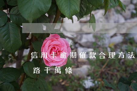 信用卡逾期催款合理方法(信用卡逾期催收套路千萬條)
