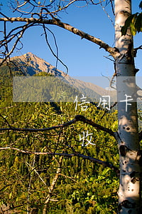 信用卡逾期催款單圖片(欠信用卡逾期上門催收)