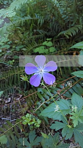 信用卡逾期催款工作术语(信用卡逾期催款的是什么人)
