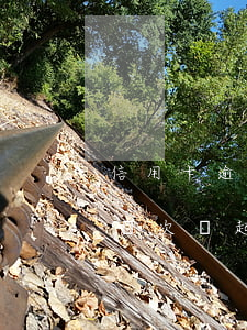 信用卡逾期催款幾次會起訴(信用卡逾期催款幾次會起訴)