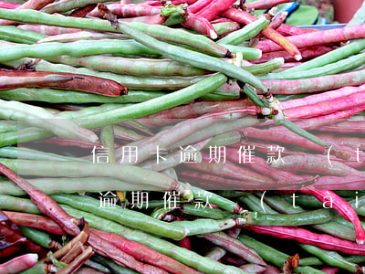 信用卡逾期催款態(tài)度不好(信用卡逾期催款態(tài)度不好怎么辦)