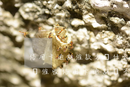 信用卡逾期催款方為什么不是銀行(銀行打電話催收信用卡逾期還不上怎么辦)