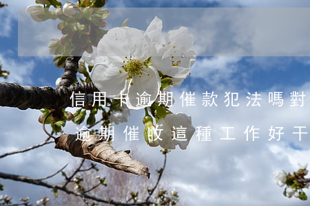 信用卡逾期催款犯法嗎(對(duì)信用卡逾期催收這種工作好干么)