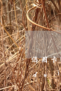 信用卡逾期催款要怎么應(yīng)對(duì)(信用卡逾期催收工作好做嗎)