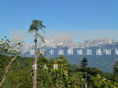 信用卡逾期催款通知單-催信用卡逾期的工作人員