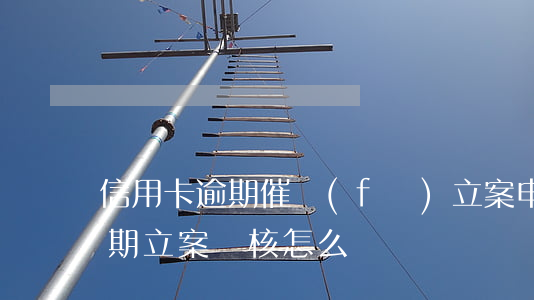 信用卡逾期催發(fā)立案申請(信用卡逾期立案審核怎么辦)