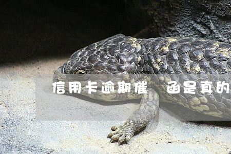信用卡逾期催繳函是真的嗎(逾期催款函)