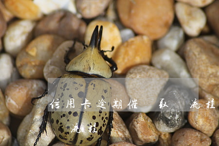 信用卡逾期催繳取證流程(信用卡逾期催繳取證流程)