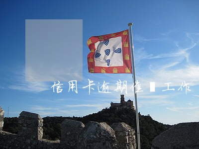 信用卡逾期催繳工作