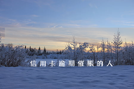 信用卡逾期催賬的人