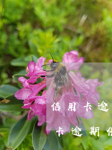 信用卡逾期催過幾次會凍結(jié)(信用卡逾期催過幾次會凍結(jié))