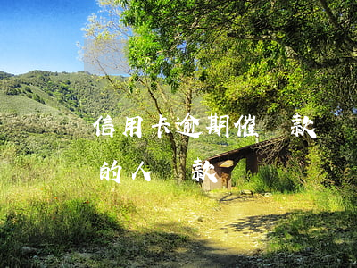 信用卡逾期催還款話語(怎么樣催收信用逾期的人還款)