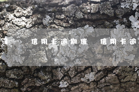 信用卡逾期催錢(信用卡逾期催收方式)