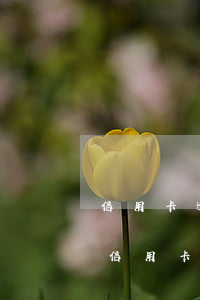 信用卡逾期傳票是發(fā)給個人還是-信用卡逾期傳票是發(fā)給個人還是律師函