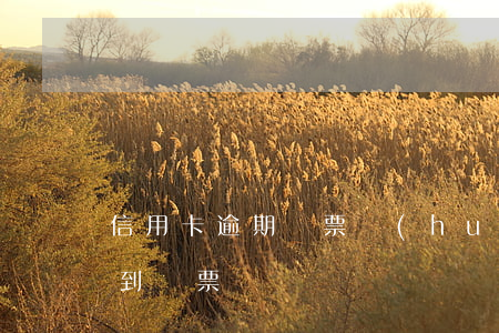 信用卡逾期傳票會(huì)寄幾次(逾期收到傳票)